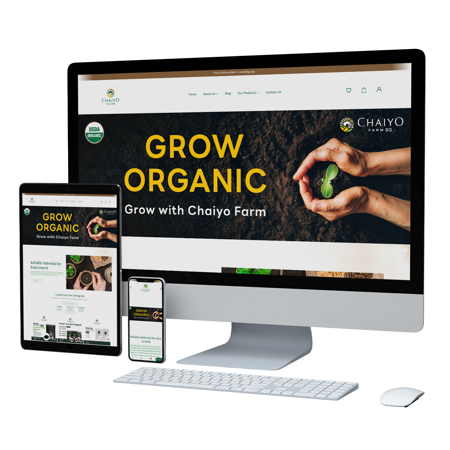 Shopify Website Design & Development in Singapore