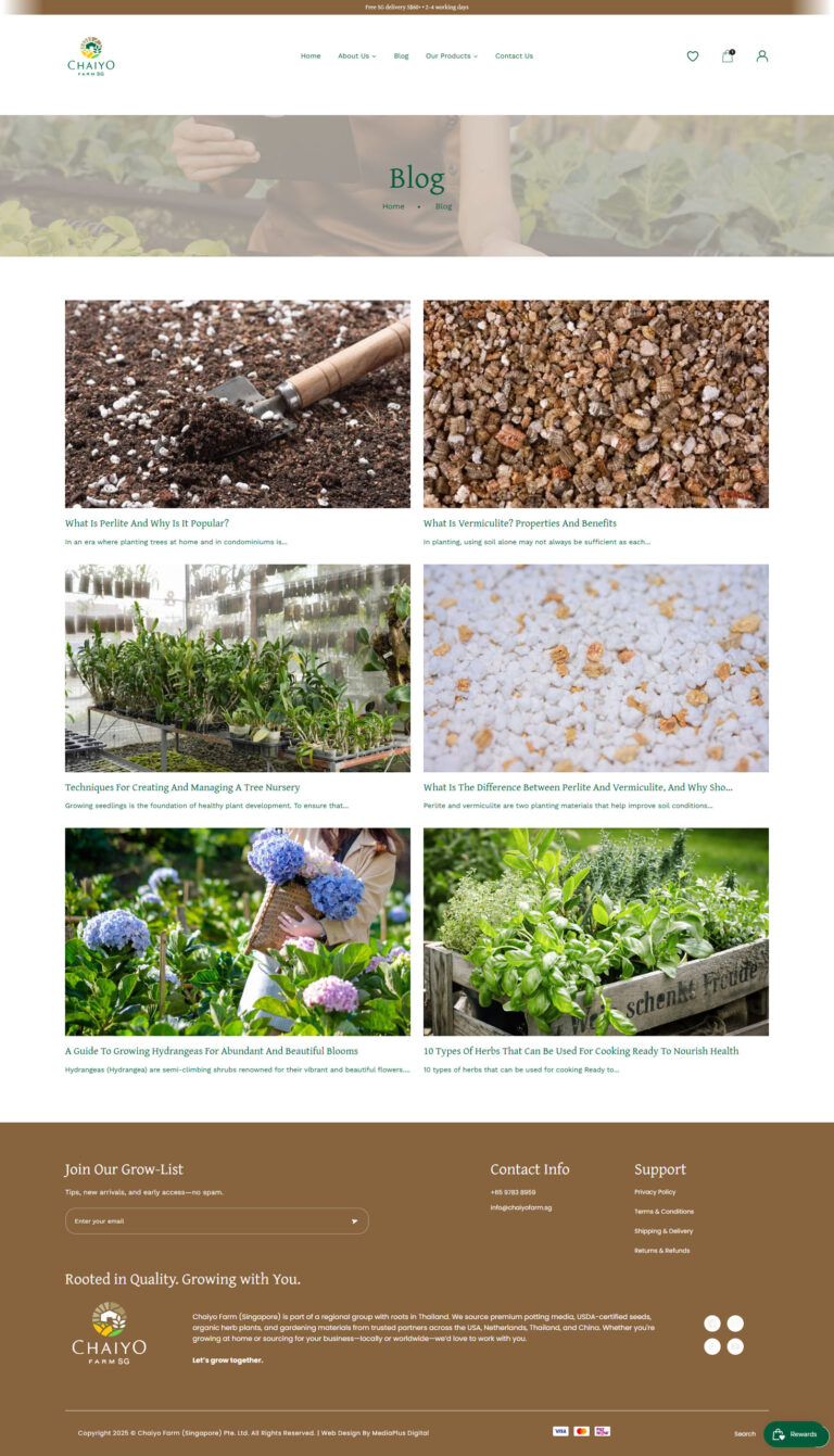 Shopify Website Design & Development in Singapore