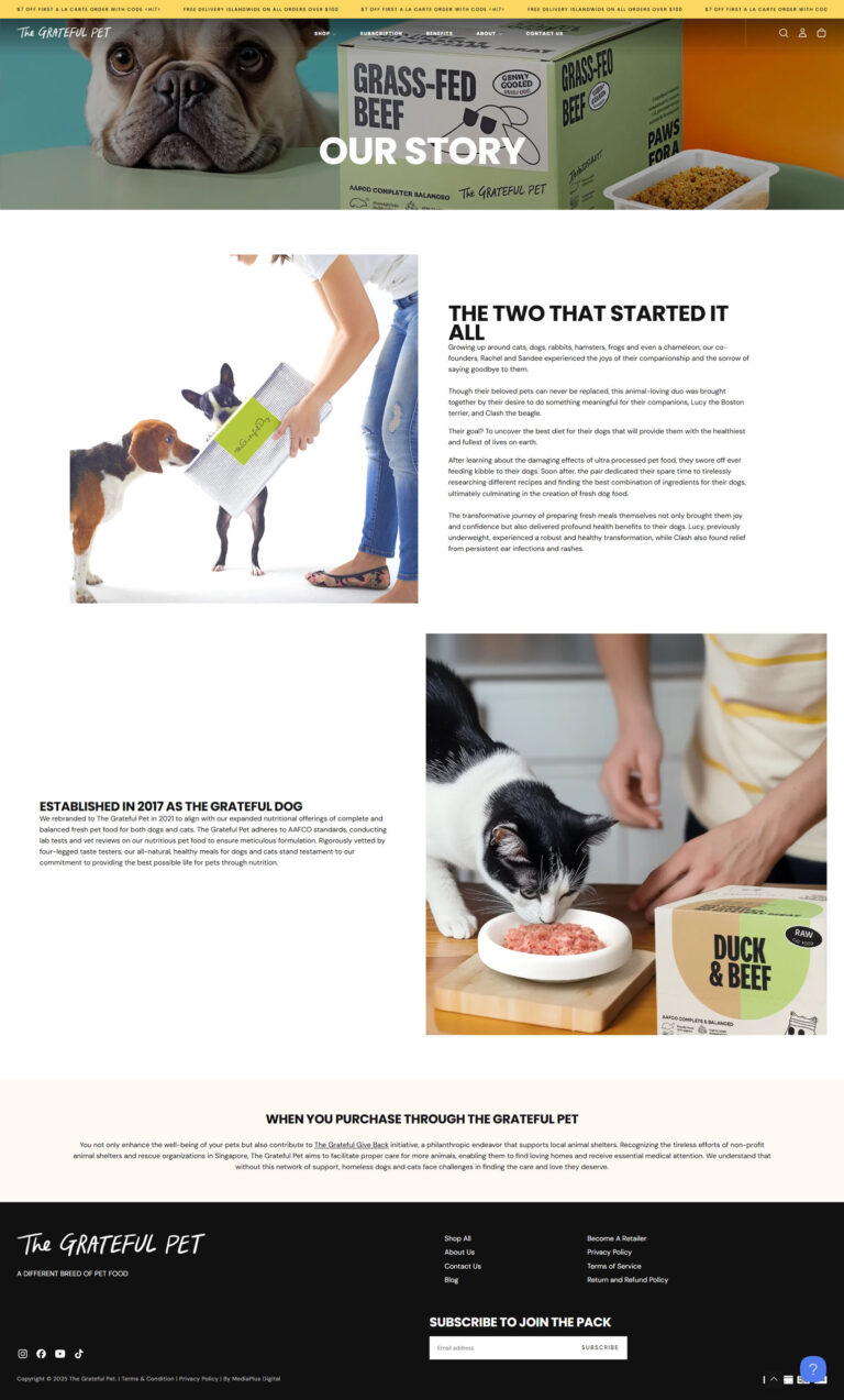 Shopify Website Design & Development in Singapore