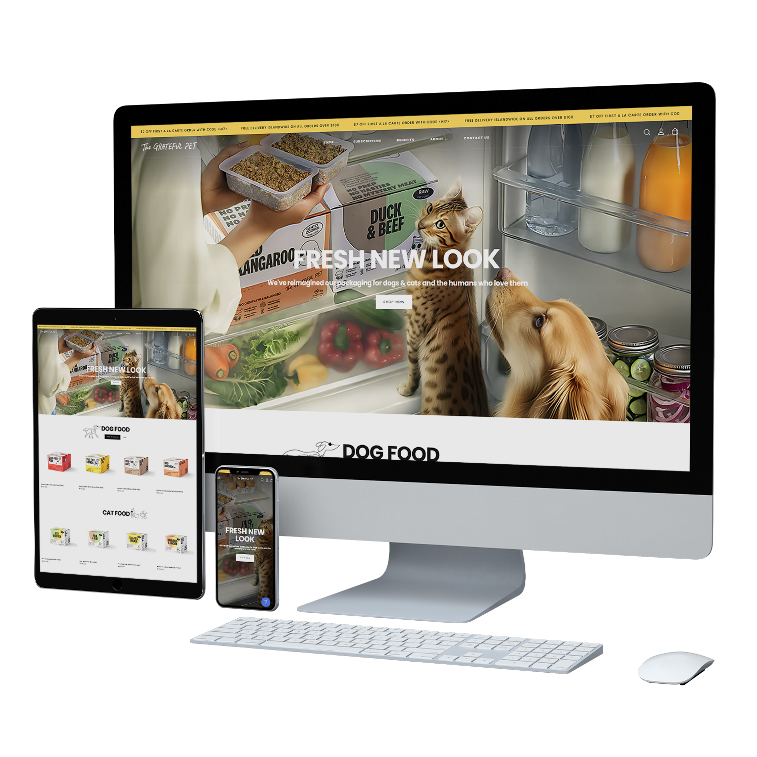 Shopify Website Design & Development in Singapore