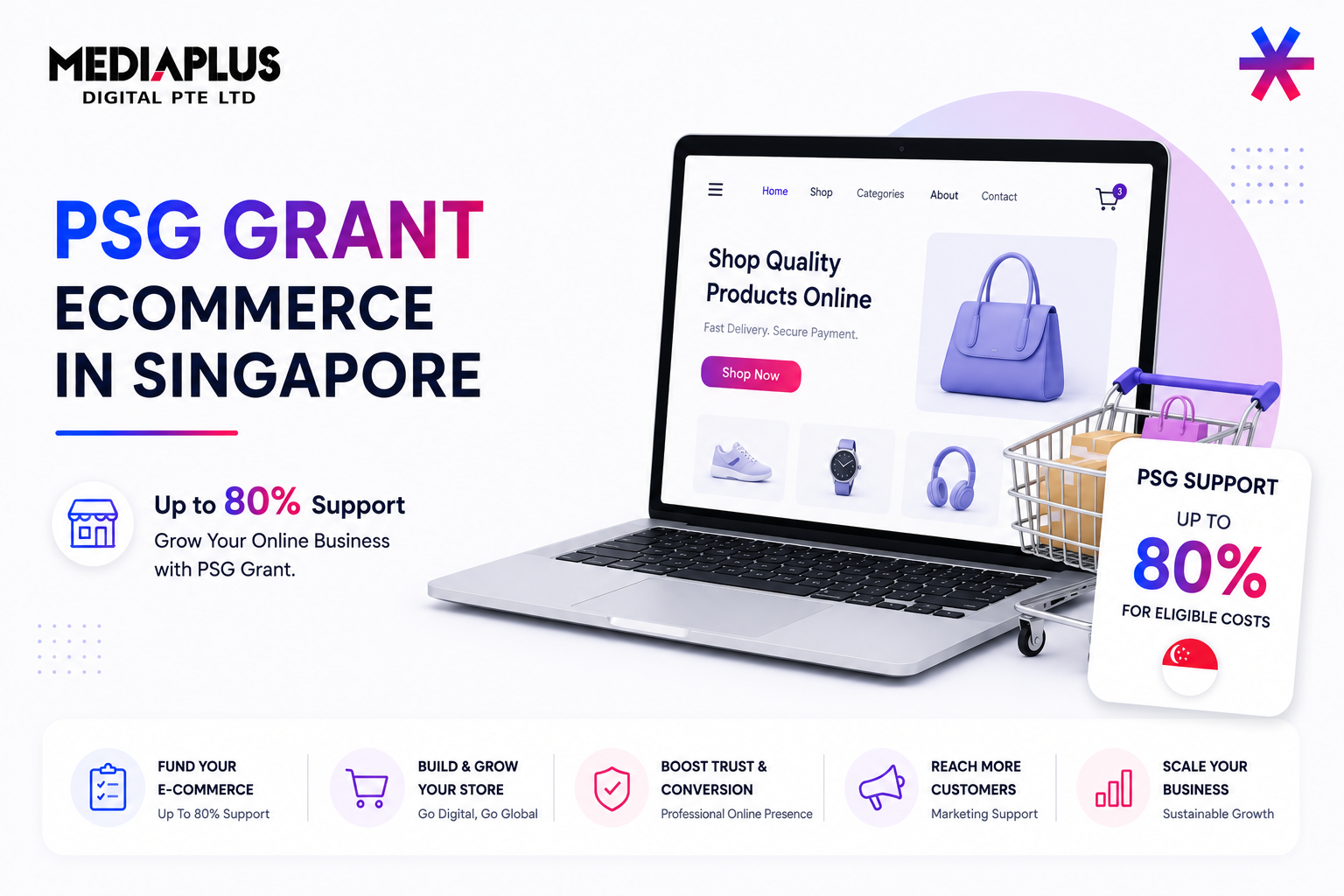 PSG Grant Ecommerce in Singapore